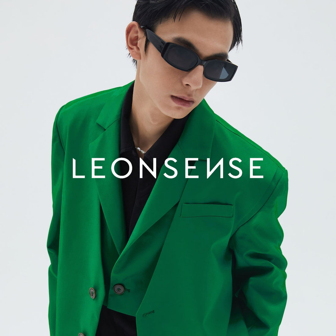 LEONSENSE