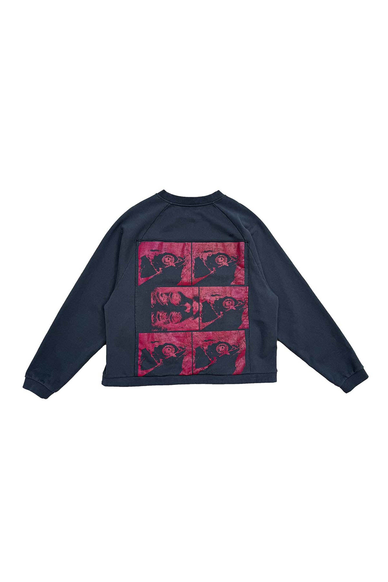 RICHILL Paneled Graphic Print Raglan Sweatshirt
