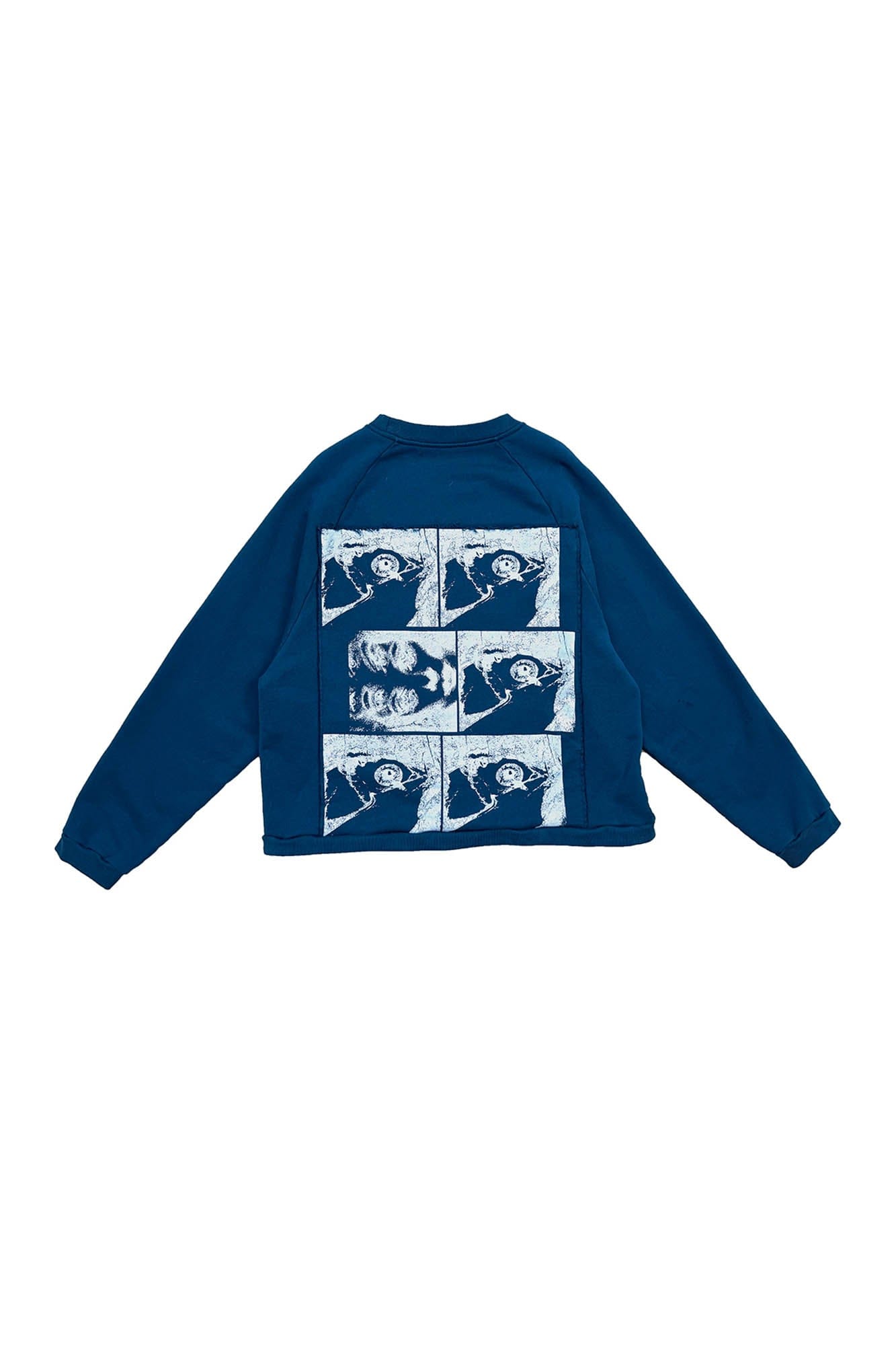 RICHILL Paneled Graphic Print Raglan Sweatshirt