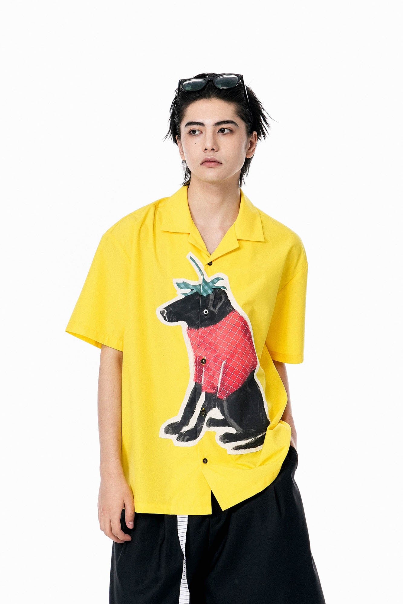 OIPWORD Strawberry Dog Graphic Half Shirt