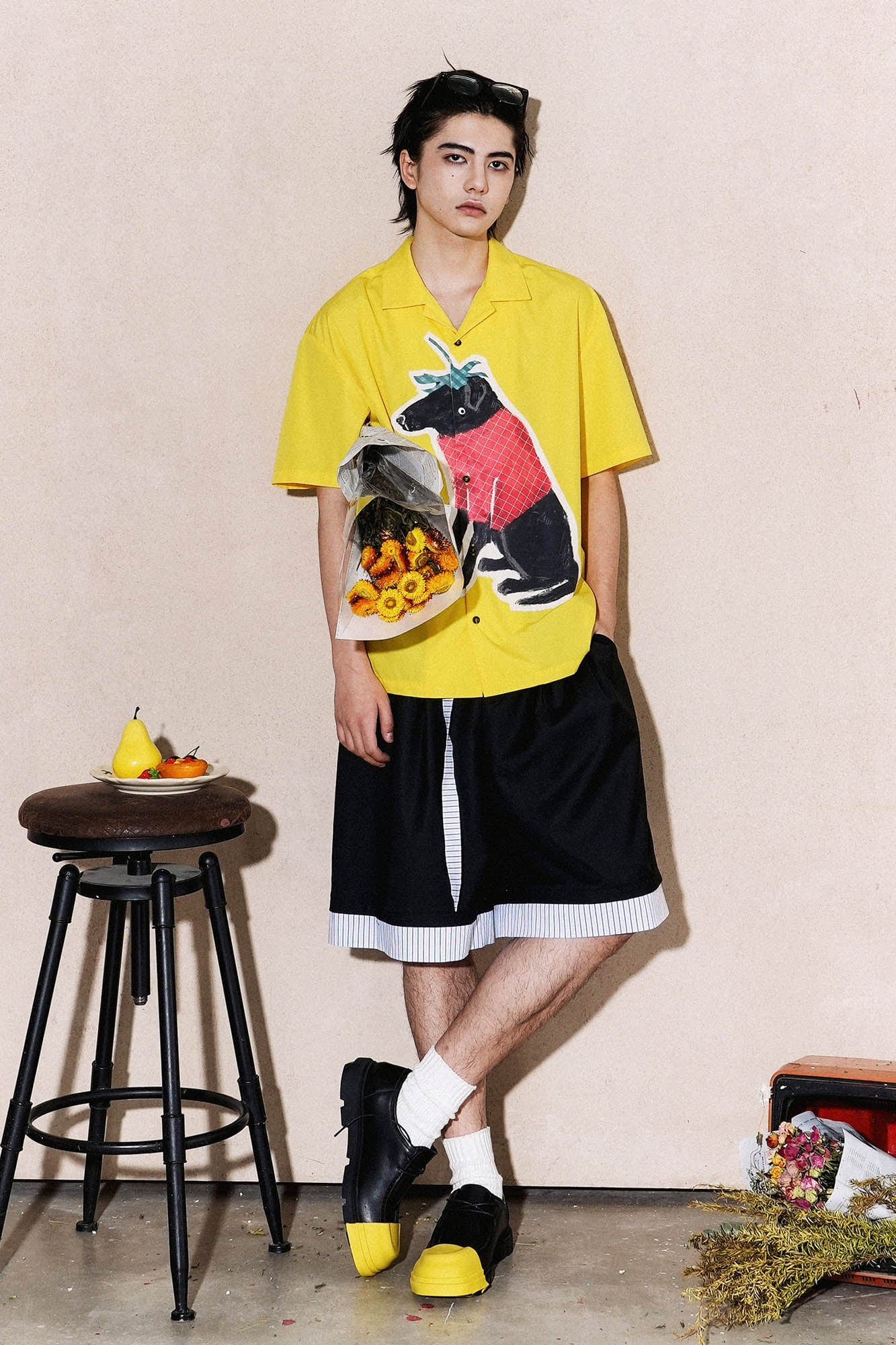 OIPWORD Strawberry Dog Graphic Half Shirt