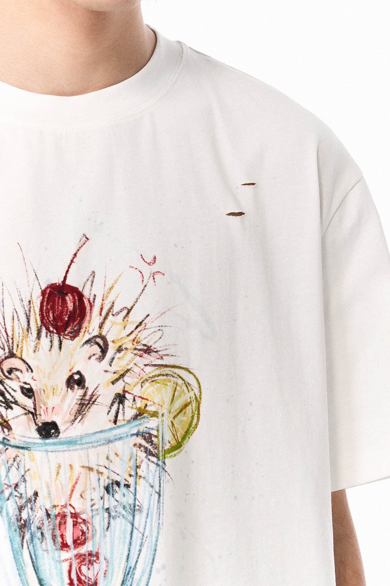 OIPWORD Cherry Hedgehog Graphic T-Shirt
