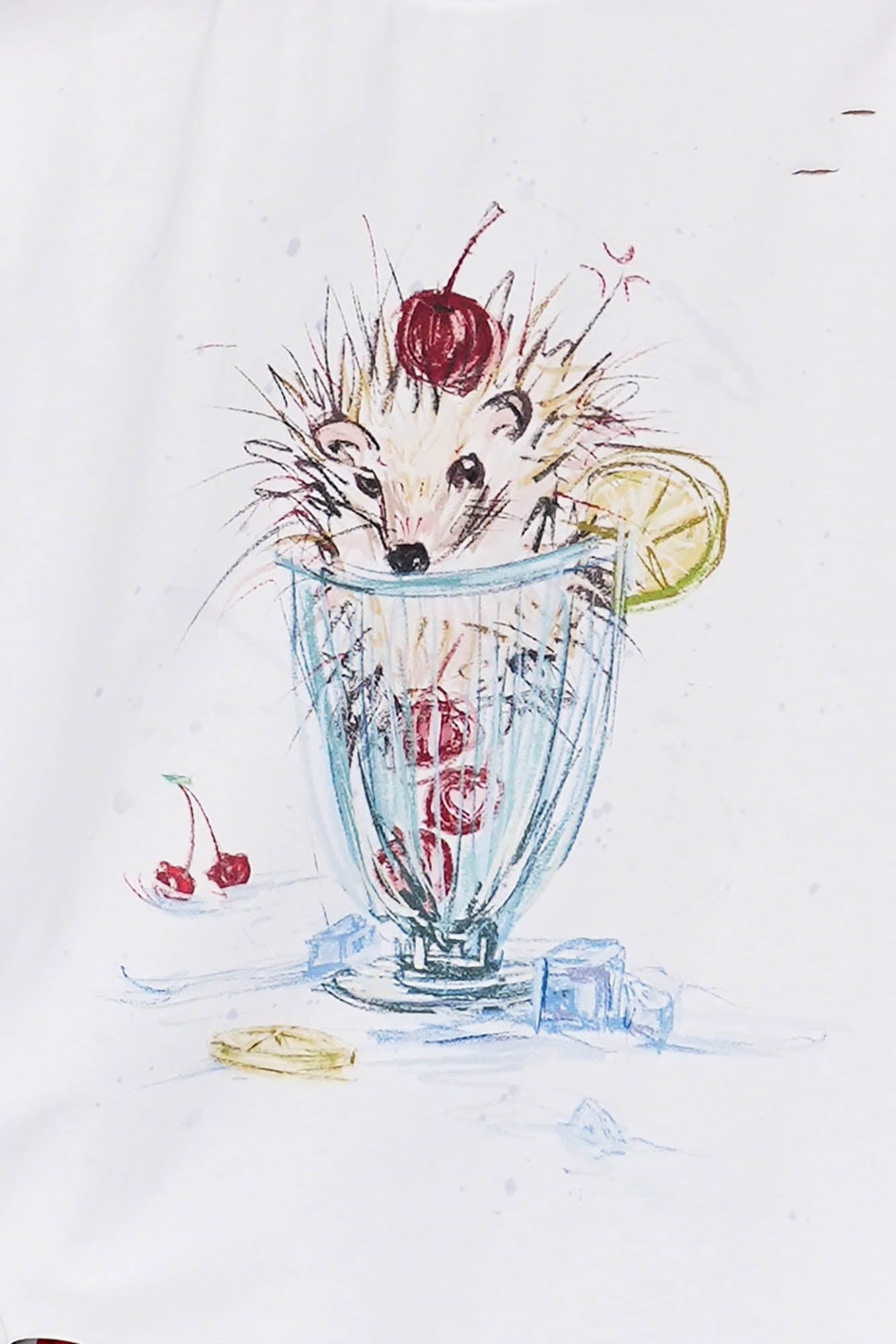 OIPWORD Cherry Hedgehog Graphic T-Shirt