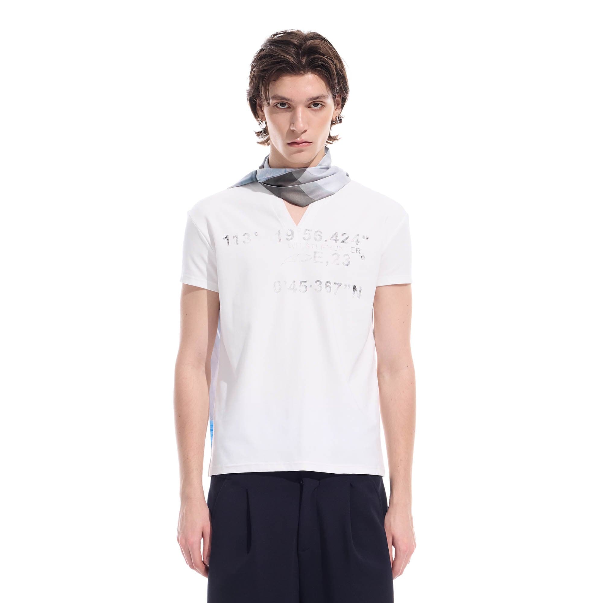 WHISTLEHUNTER Distressed Coordinate V-Neck T-Shirt