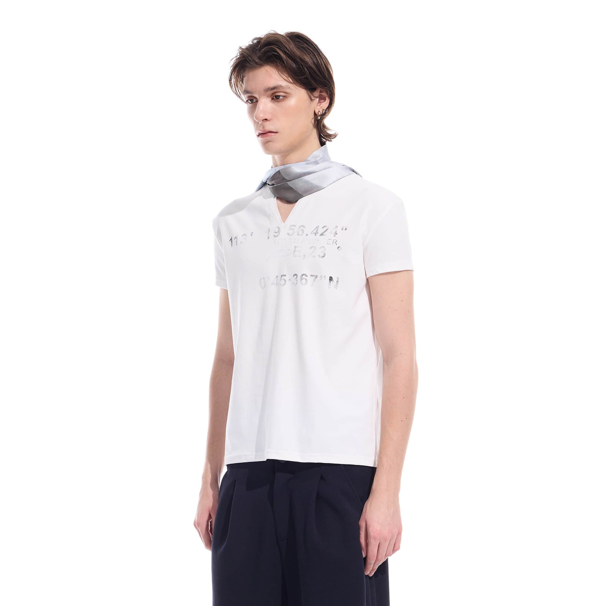WHISTLEHUNTER Distressed Coordinate V-Neck T-Shirt