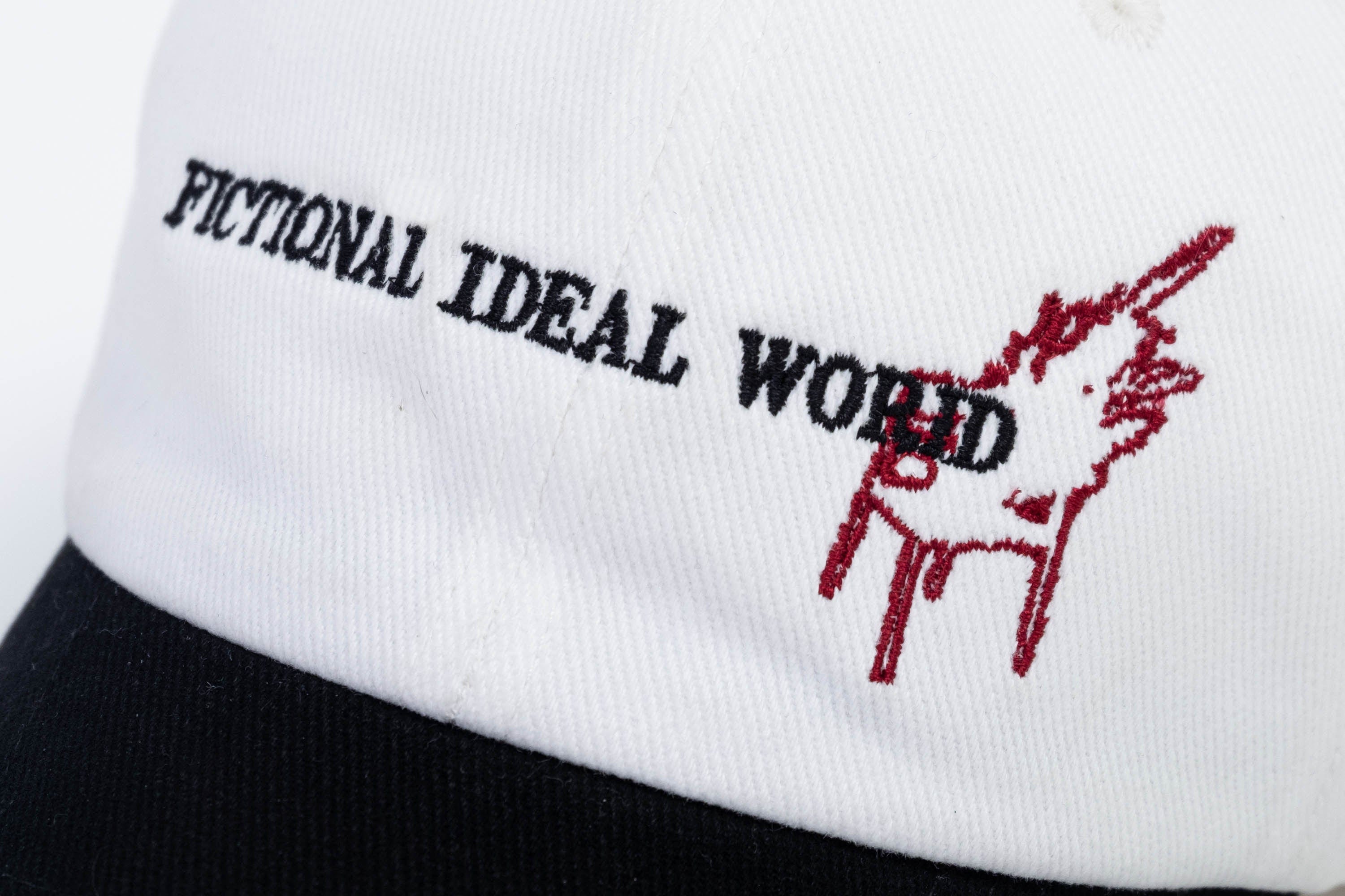 IN EXISTENCE Contrast Embroidered Cap