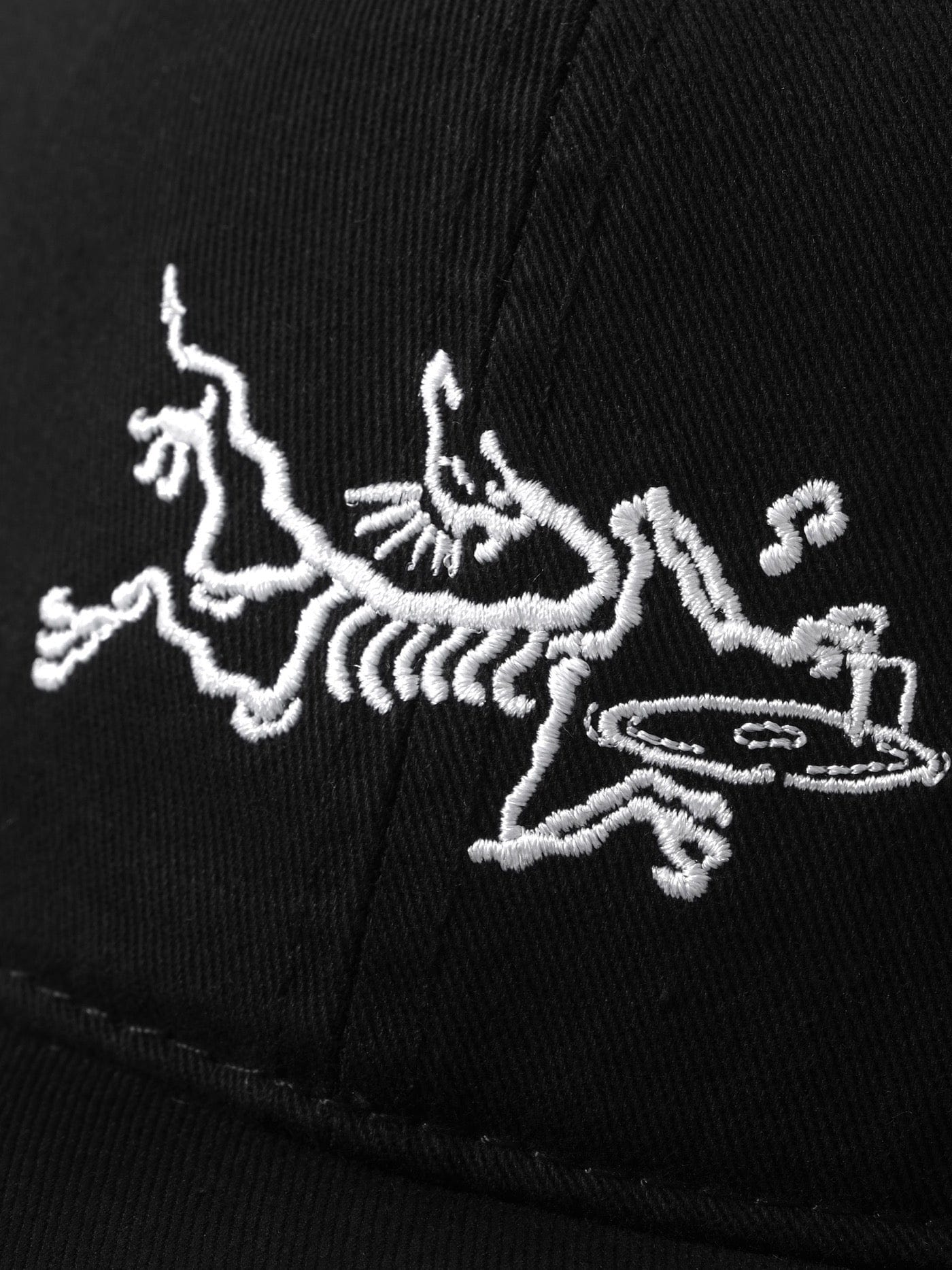WCC Chicken'teryx Embroidery Baseball Hat
