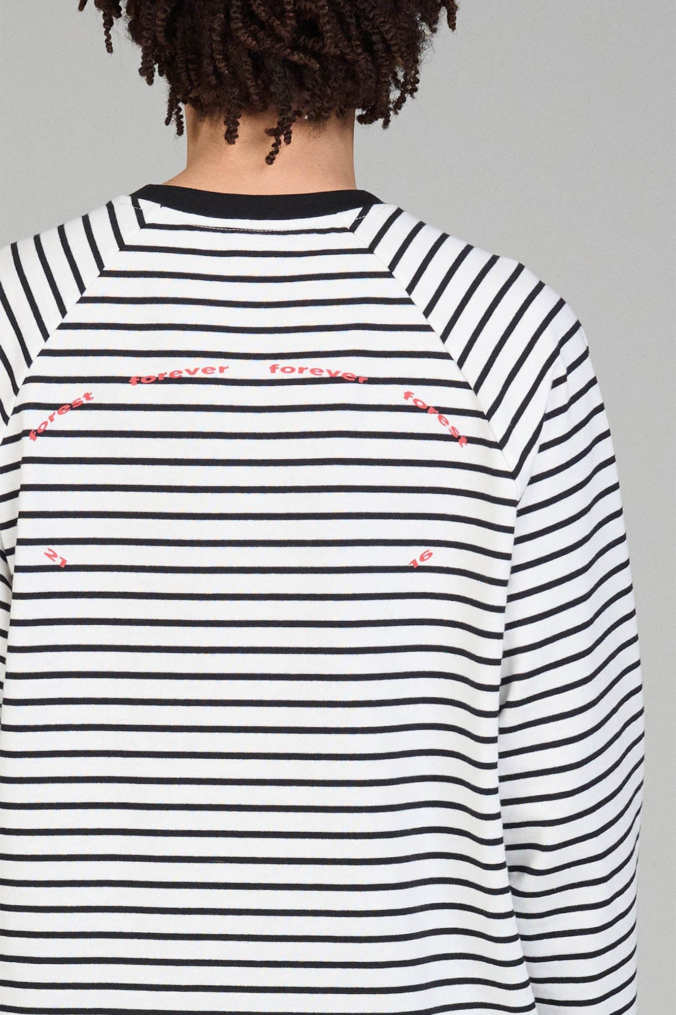 URBAN+FOREST Striped Raglan Long-Sleeve Tee