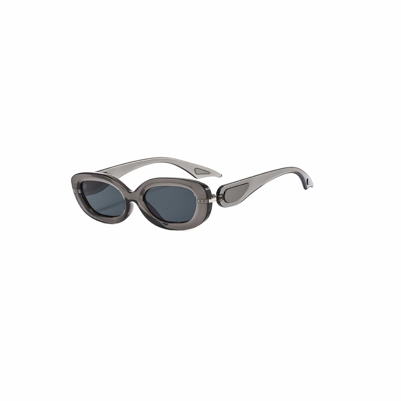 DAMAGE ASIA OPTICALS Classic Ellipse Sunglasses